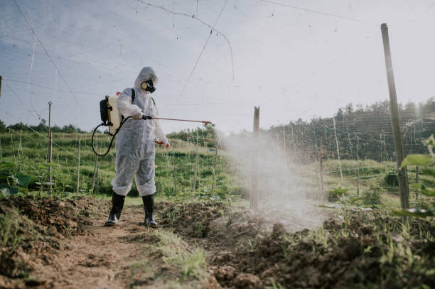 Best Commercial Pest Control Services  in Icard, NC
