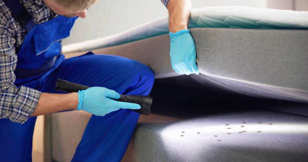 Best Local Pest Control Services  in Icard, NC